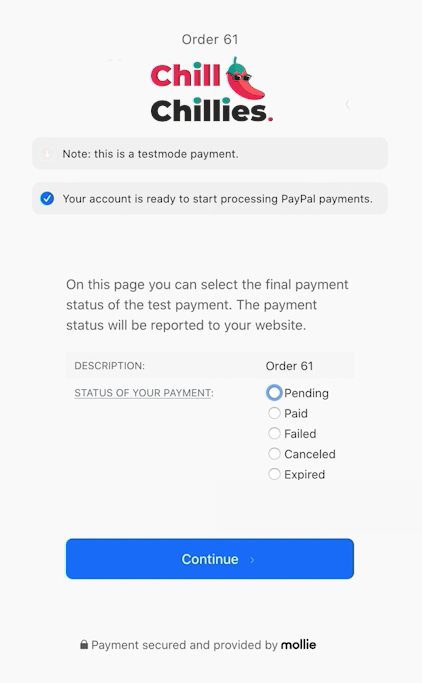 screenshot-test-payment-page.png